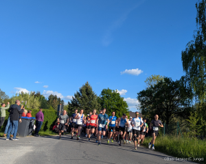 Läufer beim Start - 11. rammenauer fichte-Lauf